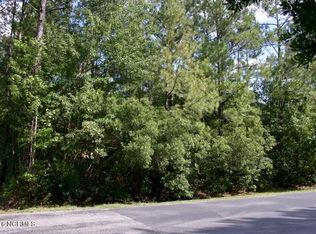 LOT 57 Red Bird Ln, Hampstead, NC 28443
