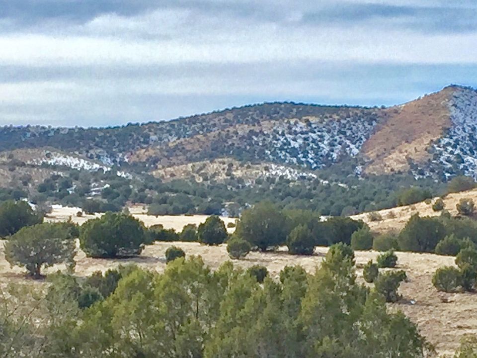 Actual view from build site