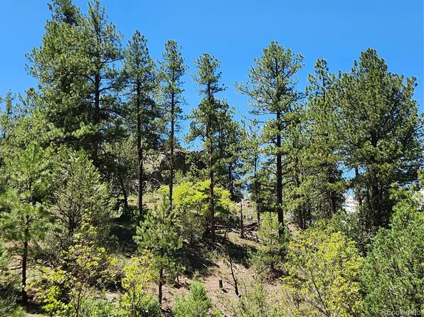 102 Kevin Drive LOT 488, Cotopaxi, CO 81223