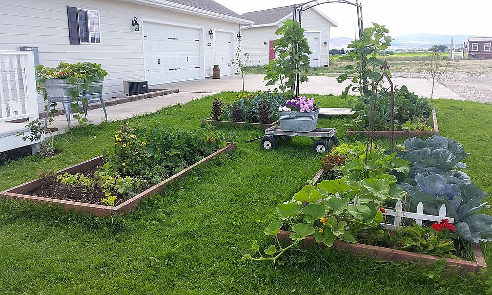 Kitchen Garden!