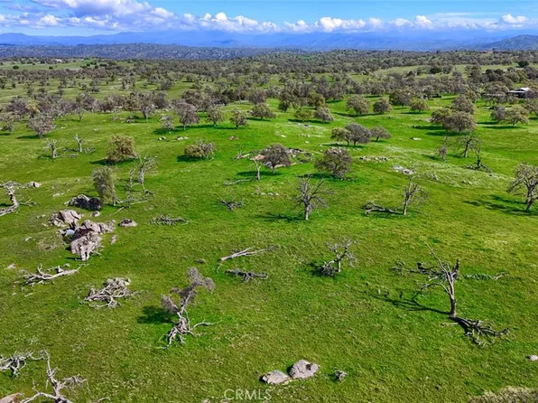 39.89 Ac Rd #613, Raymond, CA 93653