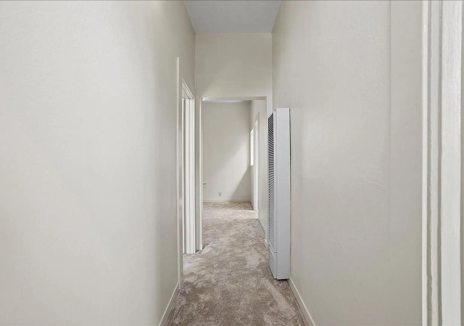 3rd St 1816 - 1818 - 1820 / 306 - 308 Spruce St — Photo 3
