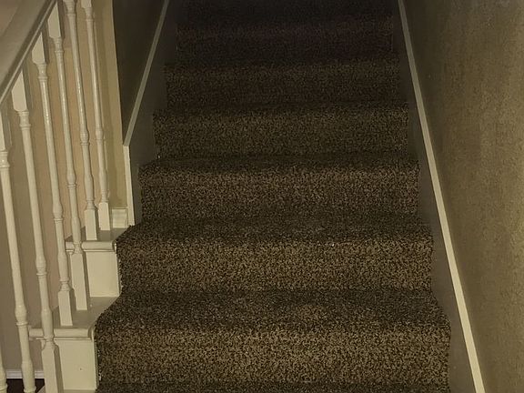 5th image of 701 N Clay St APT C