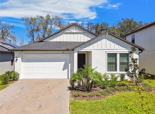 9802 Carabiner Way, Land O Lakes, FL 34637