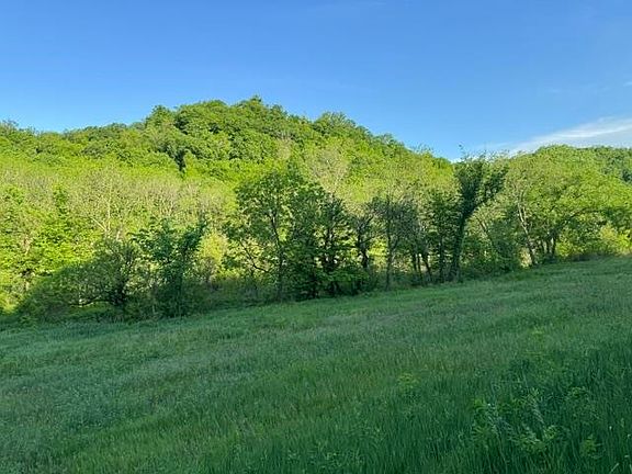 4th image of 0 Byrds Creek Rd
