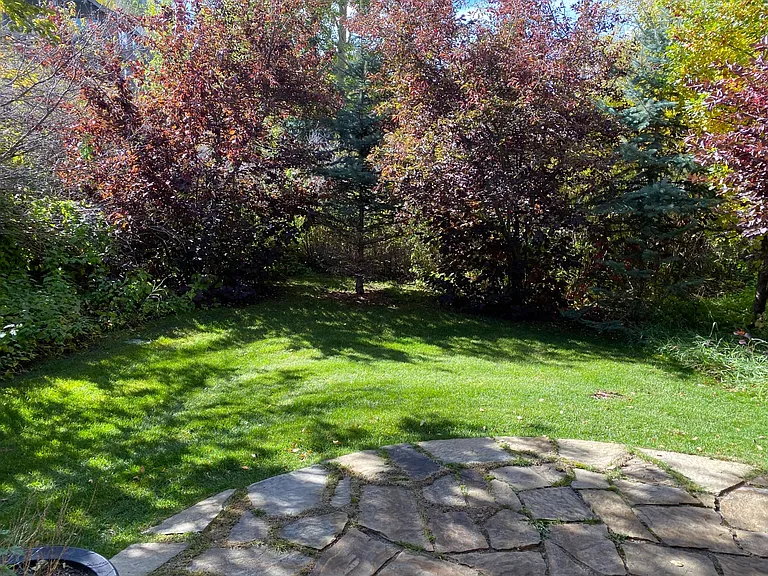 2111 Hidden Ranch Ln — Photo 51