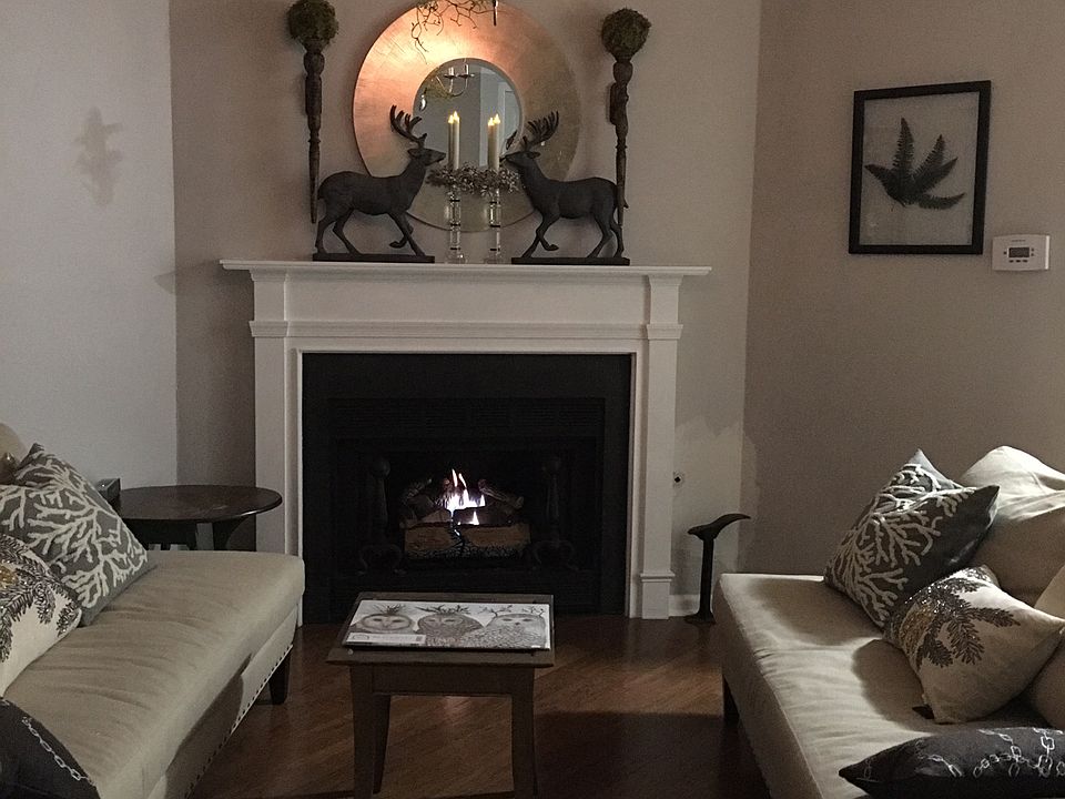 Gas fireplace