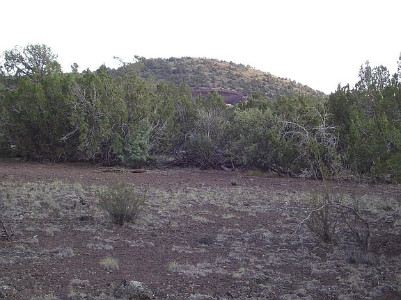 2nd image of 1094 E Antler Ln #535