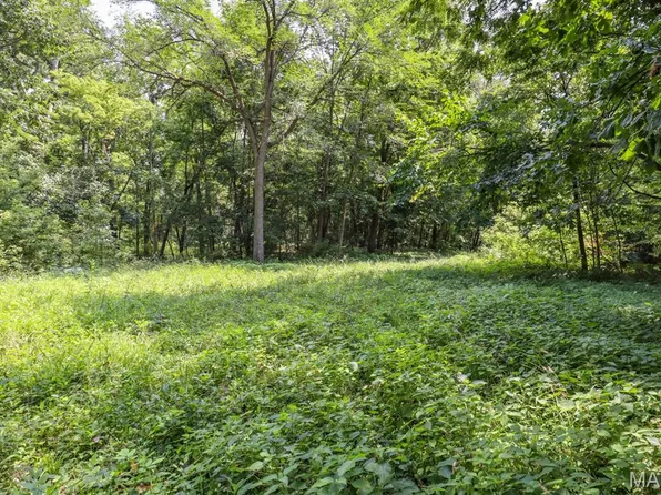 0 Ratermann Rd, Silex, MO 63377