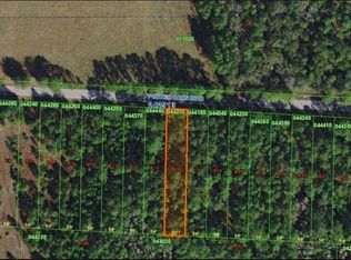 Poyner Oaks Rd N, Polk city, FL 33868