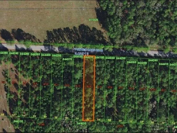 Poyner Oaks Rd N, Polk City, FL 33868