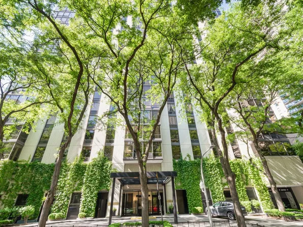 100 E Bellevue Pl APT 6B, Chicago, IL 60611