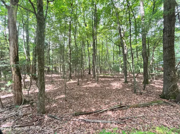 149-1111 Chestnut Ln, Kunkletown, PA 18058