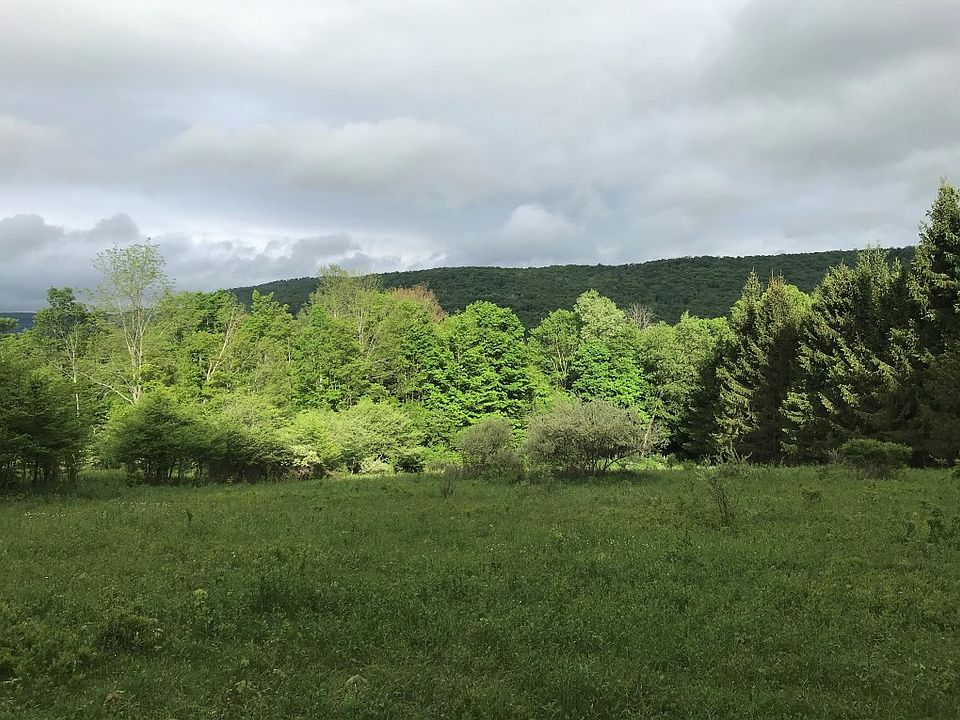 0 Mormon Hollow Rd, Walton, NY 13856 MLS 319239 Zillow