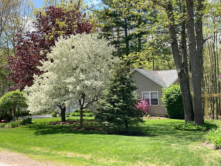 2196 Village Green Dr — Photo 2