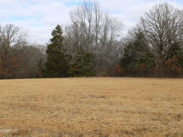 0 Acorn Wood Dr #2, Olive Branch, MS 38654