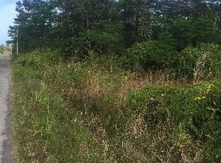 Ilima St LOT 3, Keaau, HI 96749
