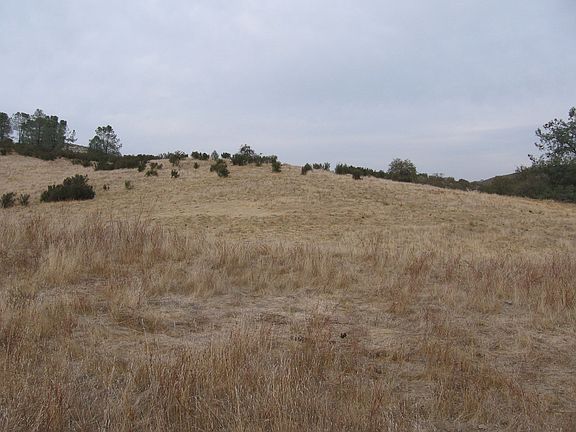 Possible Building Site