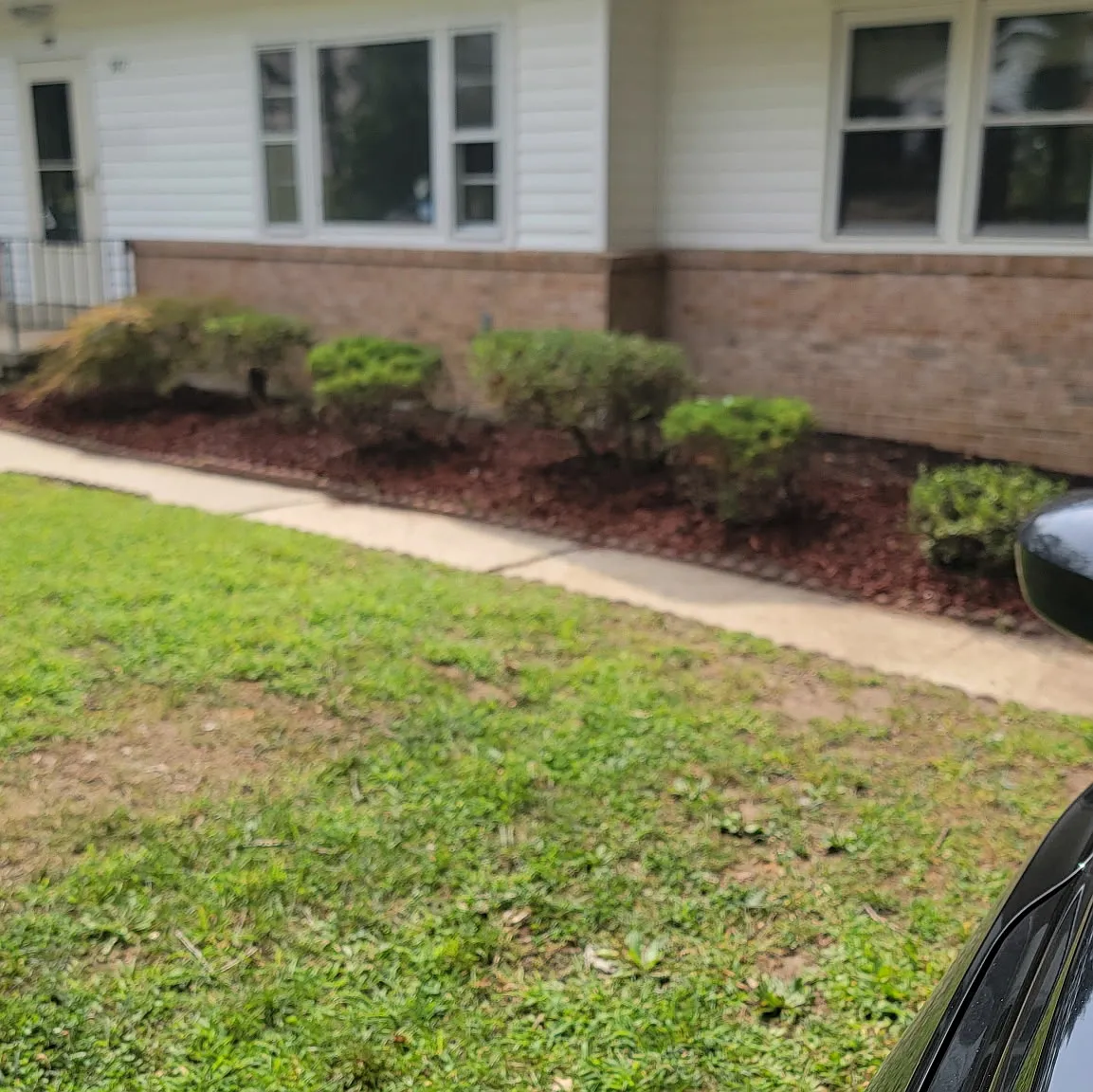 4 bed, 2400 sqft, $3,800 — Photo 3