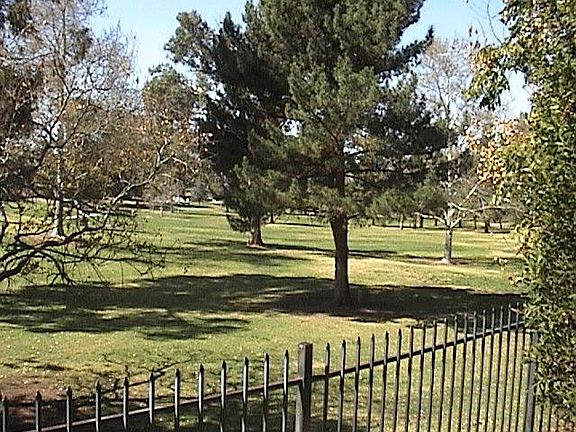 View of Brentwood park from back patio