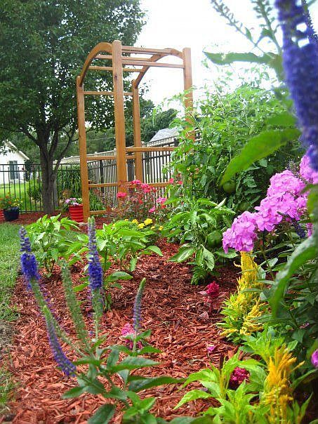 New landscaping closeup, work done in summer 2009.