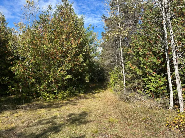 V/l Dubey Rd, Alpena, MI 49707