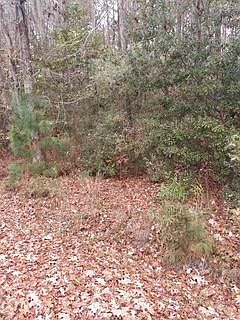 1st image of LOT 207 Prices Bridge Ln