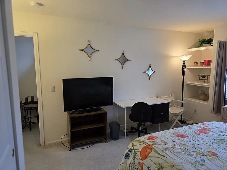 10798 Willow Reed Ct — Photo 8