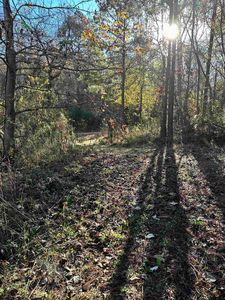 1475 County Road 3402, Bullard, TX, 75757
