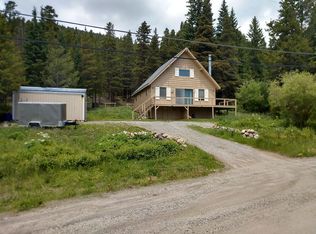 201 Silver Creek Rd, Idaho Springs, CO 80452