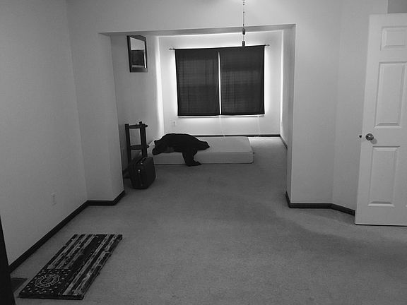 5th image of 2449 Dawes Pl Unit D
