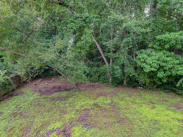 109 Gibson Forest Dr — Photo 29