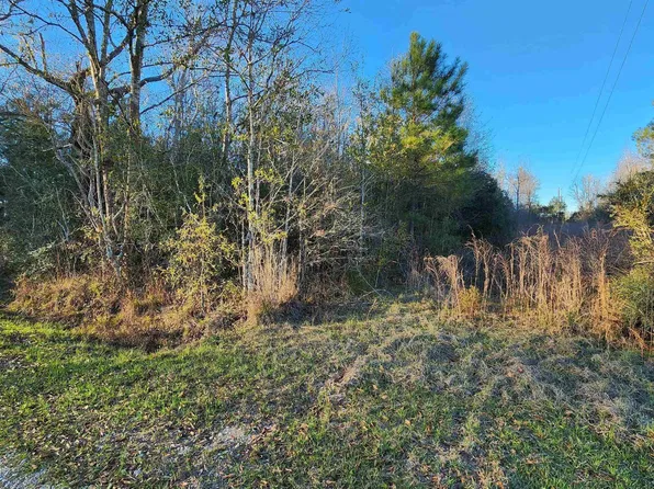 171 Sam Crouch Rd, Amite, LA 70422