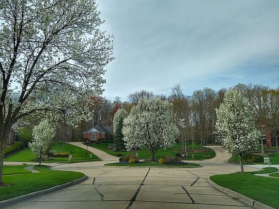 View entering Oakview Circle