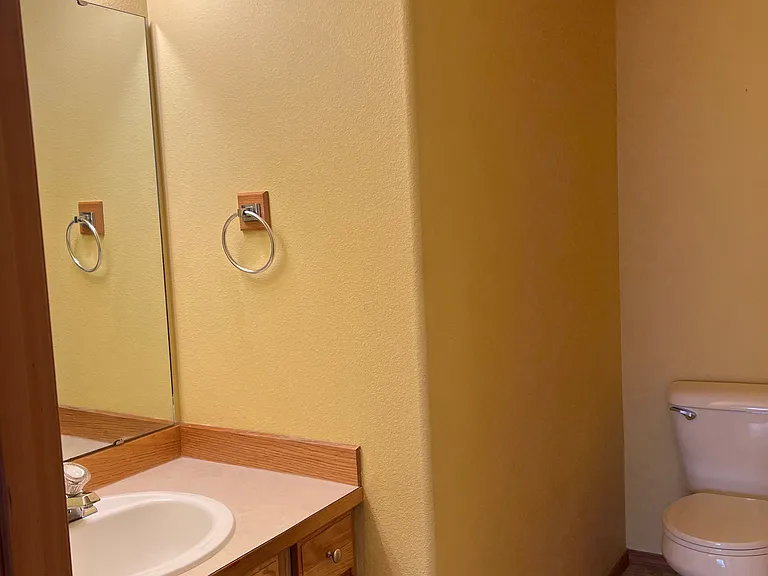 Downstairs restroom