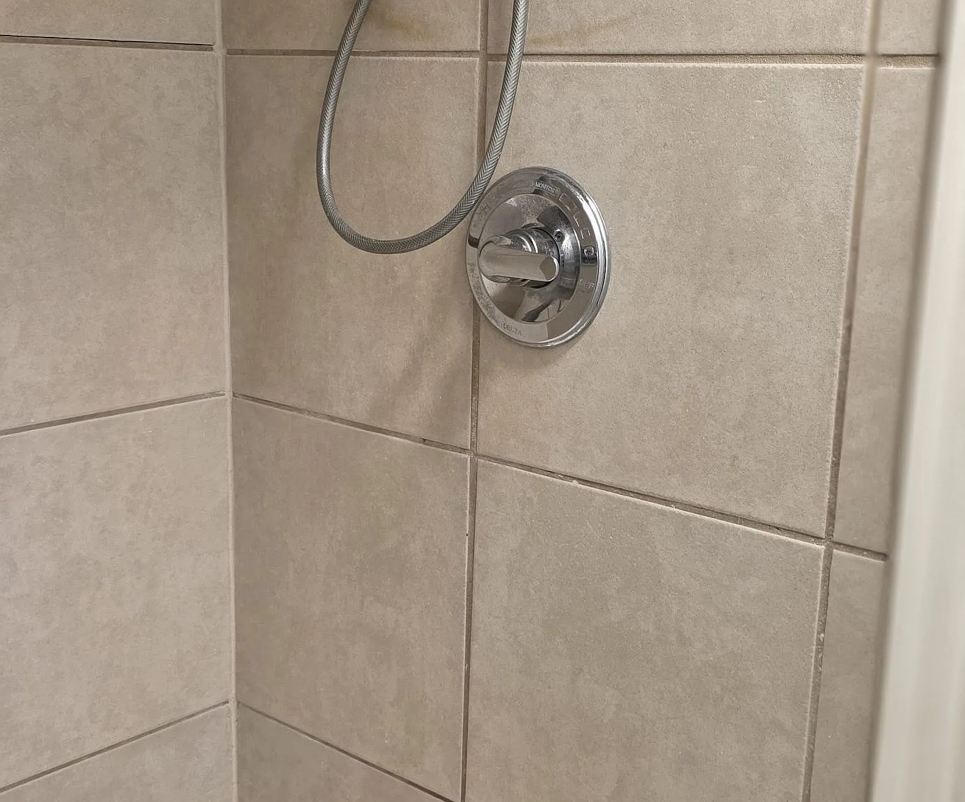 1 bed, 1.0 bath, 560 sqft, $800 — Photo 4