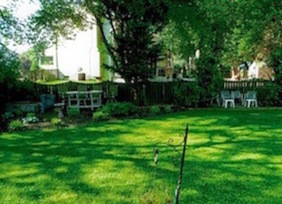 Peaceful and Flat Backyard