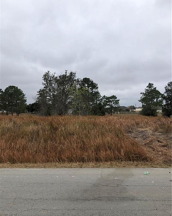 2nd image of 0 Bahia Court Ln