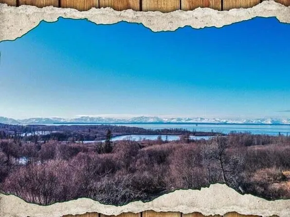 L3-B4 Blockade Glacier Rd, Kenai, AK 99611