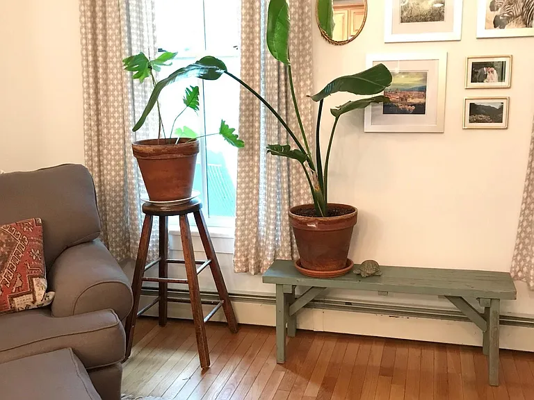 66 Caroline St #A — Photo 24