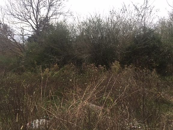 5th image of 240 Middle Creek Ln