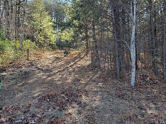2nd image of 4142 Mountain Vista Dr