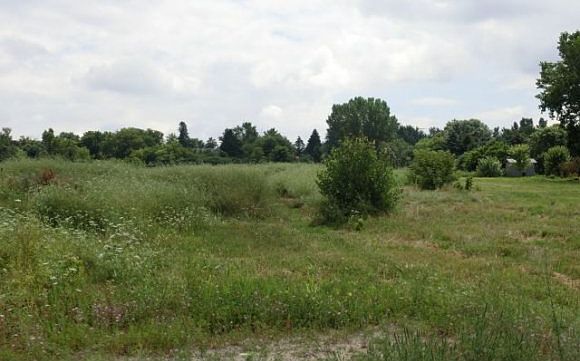 1st image of Lakeland Dr