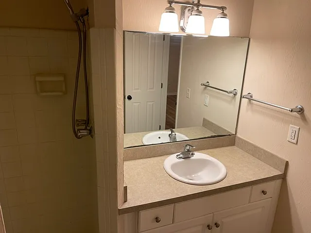 Owner shower & vanity