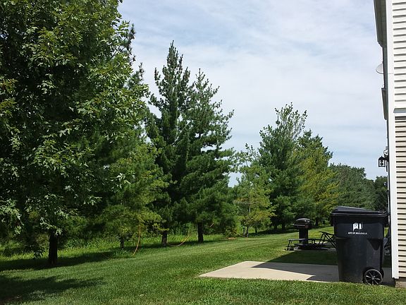 Backyard with maintenance covered