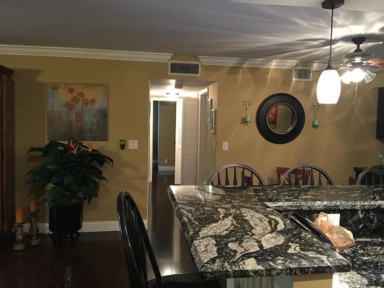 View from front door showing kitchen counter on right and hallway in middle and living room on left