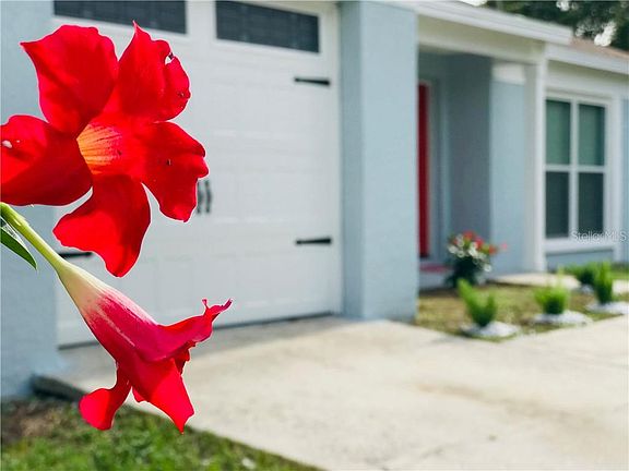 3rd image of 223 Regal Park Dr