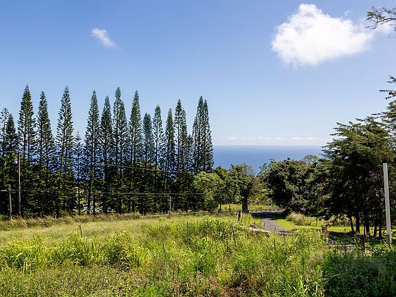 3rd image of 44-2527 Kalopa Mauka Rd