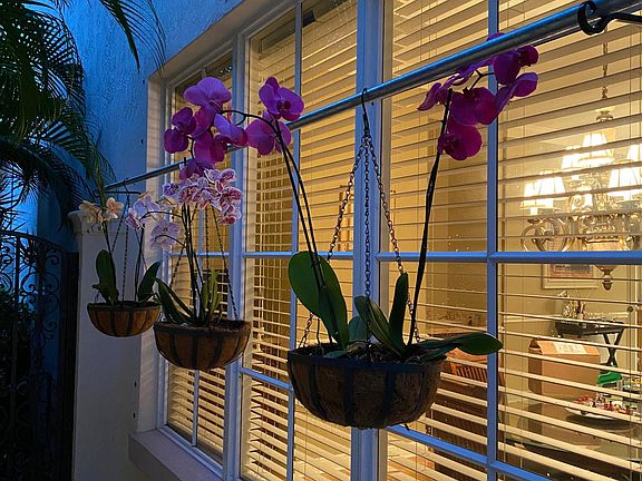 Lovely outdoor patio to enjoy beautiful southern FL evenings