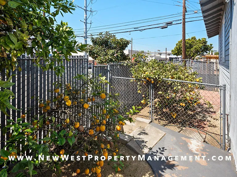 1043 Sampson St #A — Photo 21
